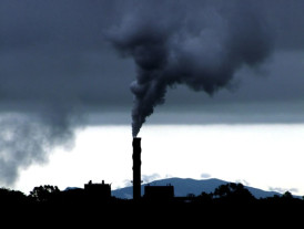 humo